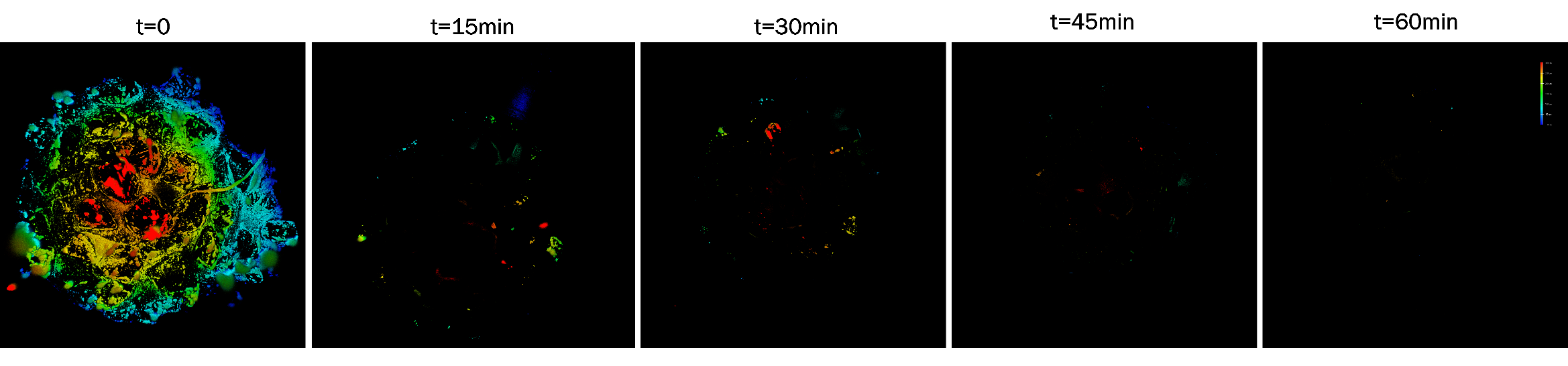 Original microscopy field showing rhodamine-stained biological debris on a dental bur, with depth encoded in blue, green, yellow and red